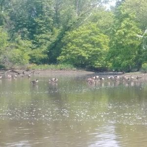 Meet your Posher, Karma